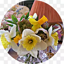 ��������л�����-������