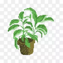 ֲ����ѧ��ǩ-ֲ��-������