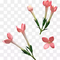 �л�����������-������