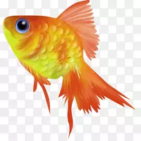 ���㶯����������-����-������