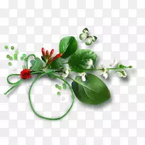 ���б���Ů����-��-������