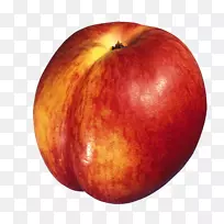 油桃,土星,桃子,普通李子-空若网 油桃,土星,桃子,普通李子-空若网