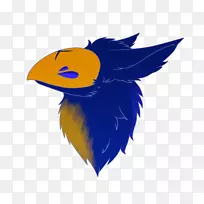 食肉鸟羽毛翅鸟-空若网 食肉鸟羽毛翅鸟-空若网