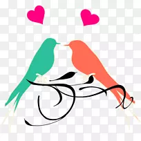 爱情鸟婚礼剪贴画-小鸟-空若网 爱情鸟婚礼剪贴画-小鸟-空若网
