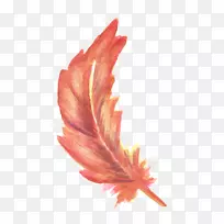水彩画.红色羽毛-空若网 水彩画.红色羽毛-空若网