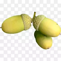 橡树夹艺术-橡子-空若网 橡树夹艺术-橡子-空若网