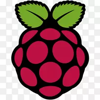 raspberry pi 3单板计算机安装-计算机-空若网 raspberry pi 3单板计算机安装-计算机-空若网
