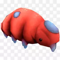 ������д���-������