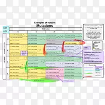 ������ͻ���������ͻ��������-������