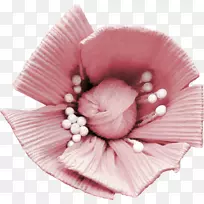 花花瓣-空若网 花花瓣-空若网