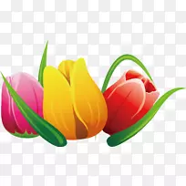 �����㻨-������