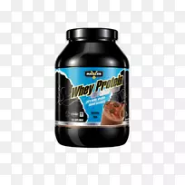 ���嵰�׽����������嵰��Maxler-������