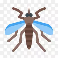 电脑图标昆虫黄热病蚊子苍蝇-空若网 电脑图标昆虫黄热病蚊子苍蝇-空若网