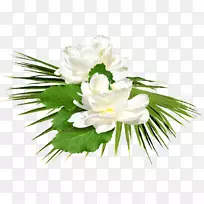 �������������-������