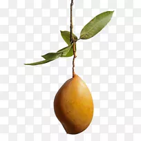 ��Ӱâ��-â��-������