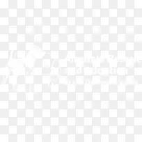 联合国大学计算机与社会学会电子邮件公司信息电子邮件-空若网 联合国大学计算机与社会学会电子邮件公司信息电子邮件-空若网