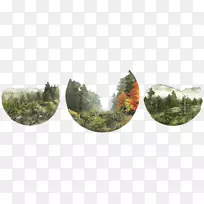 ˮ�ʻ�������-�滭-������