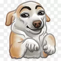 �籨���ո���ֽDoge WhatsApp-������