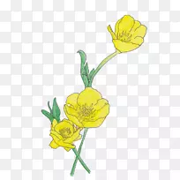 �������ë����������-������