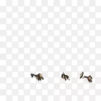 ����๶���Ǩ�㴫��������Ǩ������-������