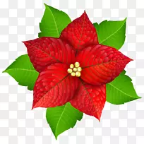 ʥ���廨����-ʥ����-������