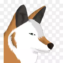 ����è������Ѽè-������