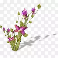 ��������л�����ֲ��-����-������