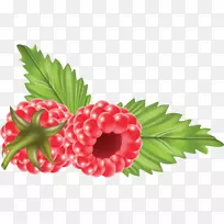 草莓覆盆子信息-草莓-空若网 草莓覆盆子信息-草莓-空若网