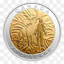 七祖的银币元硬币教诲-硬币-空若网 七祖的银币元硬币教诲-硬币-空若网