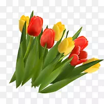 郁金香花夹艺术.手绘郁金香-空若网 郁金香花夹艺术.手绘郁金香-空若网