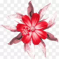 切花玫瑰剪贴画-空若网 切花玫瑰剪贴画-空若网