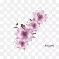 �廨����-������