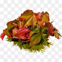 ��Ҷ���ͼ�����-����-������