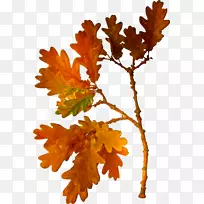 剪贴画-空若网 剪贴画-空若网