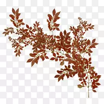 ������ķ��Ҷ�������-������