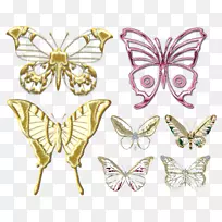 ��������Գ�-����-������