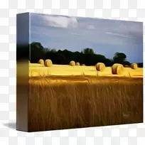 Ұ����Ȼ��ʷ����ݣ��Ҿߣ��ݣ���ͥ-������