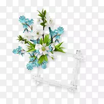 ������ƻ�����Ӱ-������