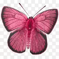 �������棬����ƣ��ɶ꣬����.��������-������