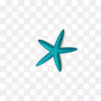 珠海海星-空若网 珠海海星-空若网