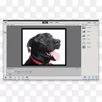AdobePhotoshop元素教程-空若网 AdobePhotoshop元素教程-空若网