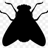 ��������-������