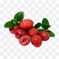 生李汁水果Carissa carandas灌木汁-空若网 生李汁水果Carissa carandas灌木汁-空若网