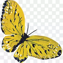 ������������-��������-������