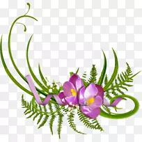 �������-������