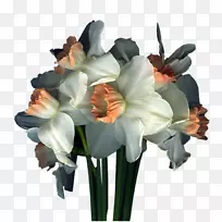 花卉设计-古代妇女-空若网 花卉设计-古代妇女-空若网