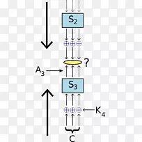 ������������Գ���Կ�㷨Beaufort����-�㷨-������