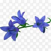 �廨����-������