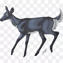 驯鹿羚羊群动物陆生动物驯鹿-空若网 驯鹿羚羊群动物陆生动物驯鹿-空若网