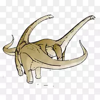 ����Ħ��������ݲ��ͼ�����-��ֻ����-������